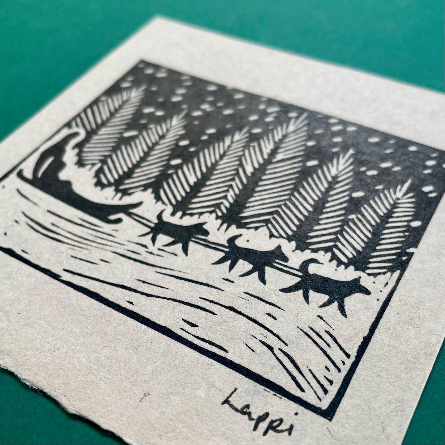 Lappi